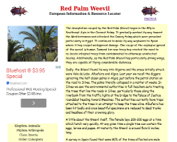 Red Palm Weevil
                    Information